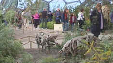 Eden Project