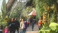 Eden Project