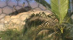 Eden project