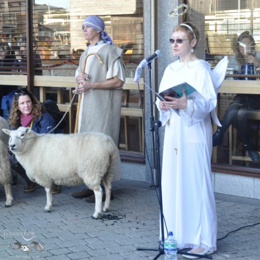 Falmouth Live Nativity 2016