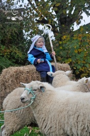 Aspiring shepherds at Trevorrick Farm