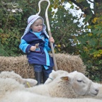 Aspiring shepherds at Trevorrick Farm