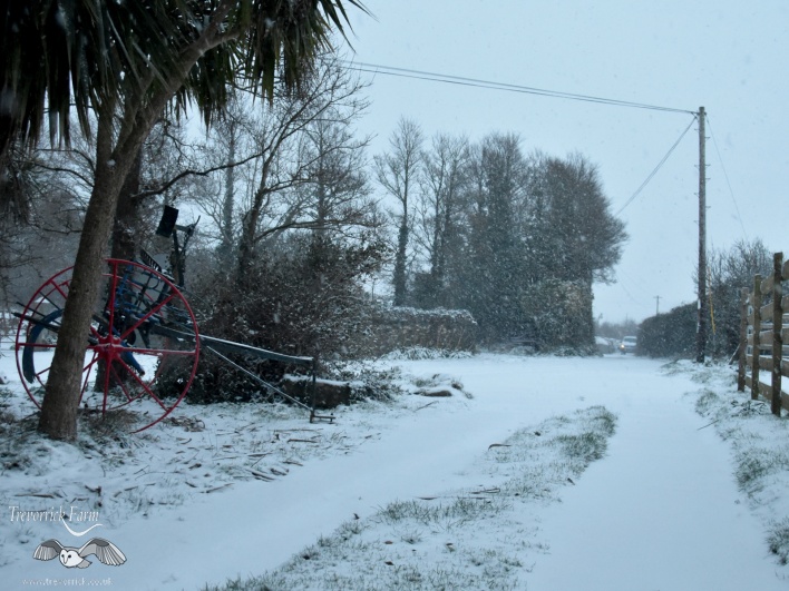 hay-rake-in-snow.jpg