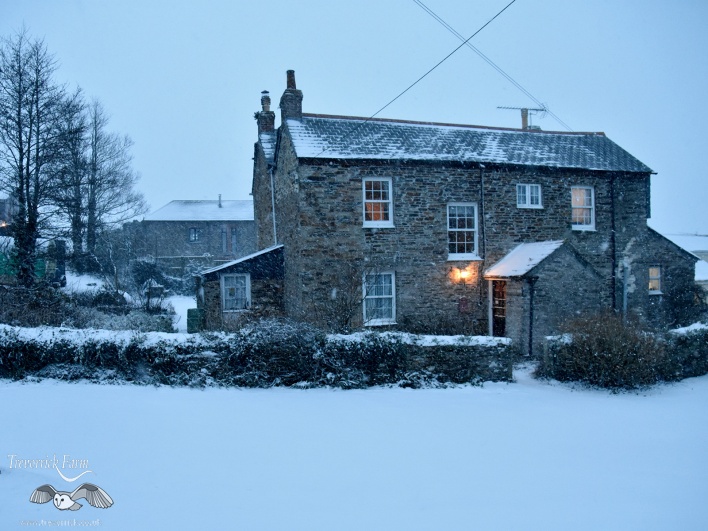 trevorrick-farmhouse-in-snow3.jpg
