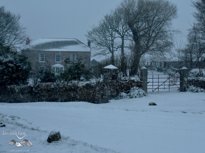 trevorrick-house-in-snow1.jpg