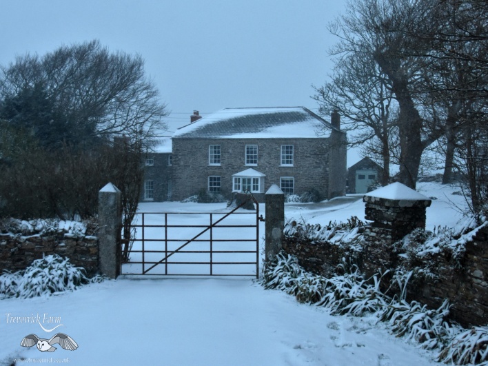 trevorrick-house-in-snow2.jpg