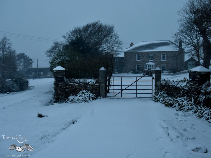trevorrick-house-in-snow3.jpg