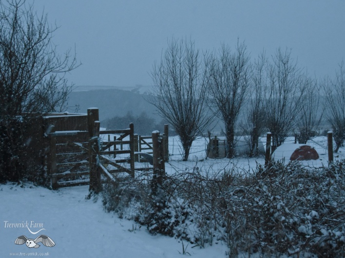 trevorrick-view-in-snow.jpg