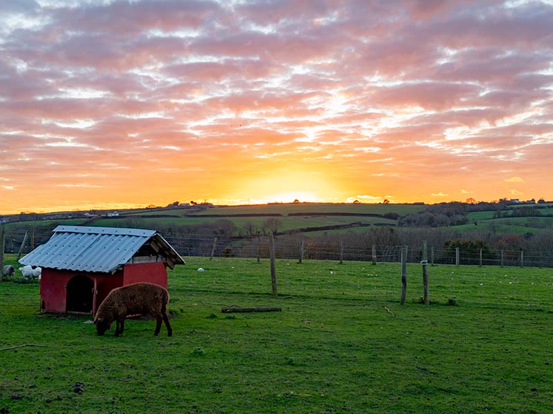 farmstay holiday cottage countryside sunset
