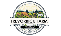 Trevorrick Swimming Pool Holiday Cottages Padstow