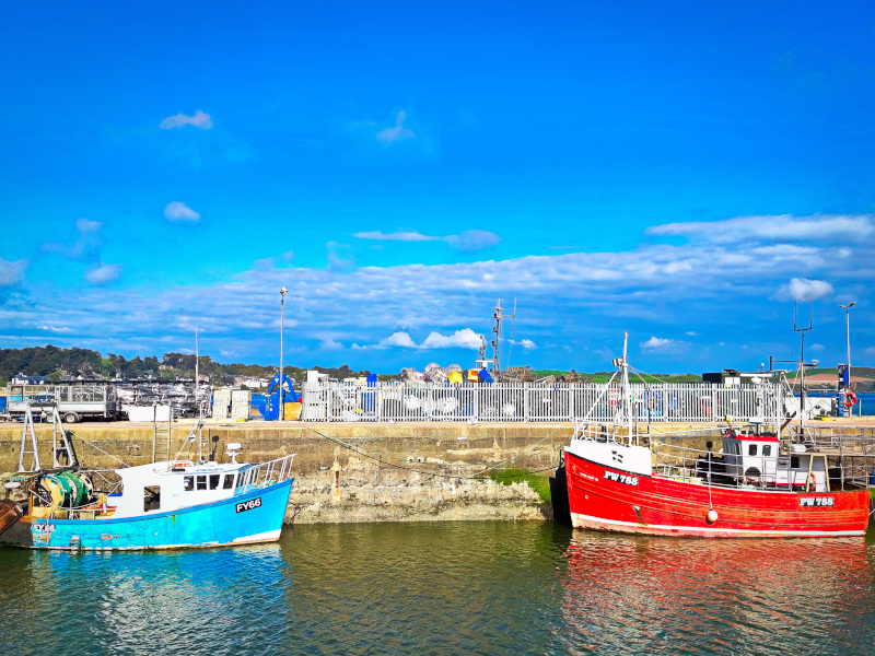 Padstow Harbour #37