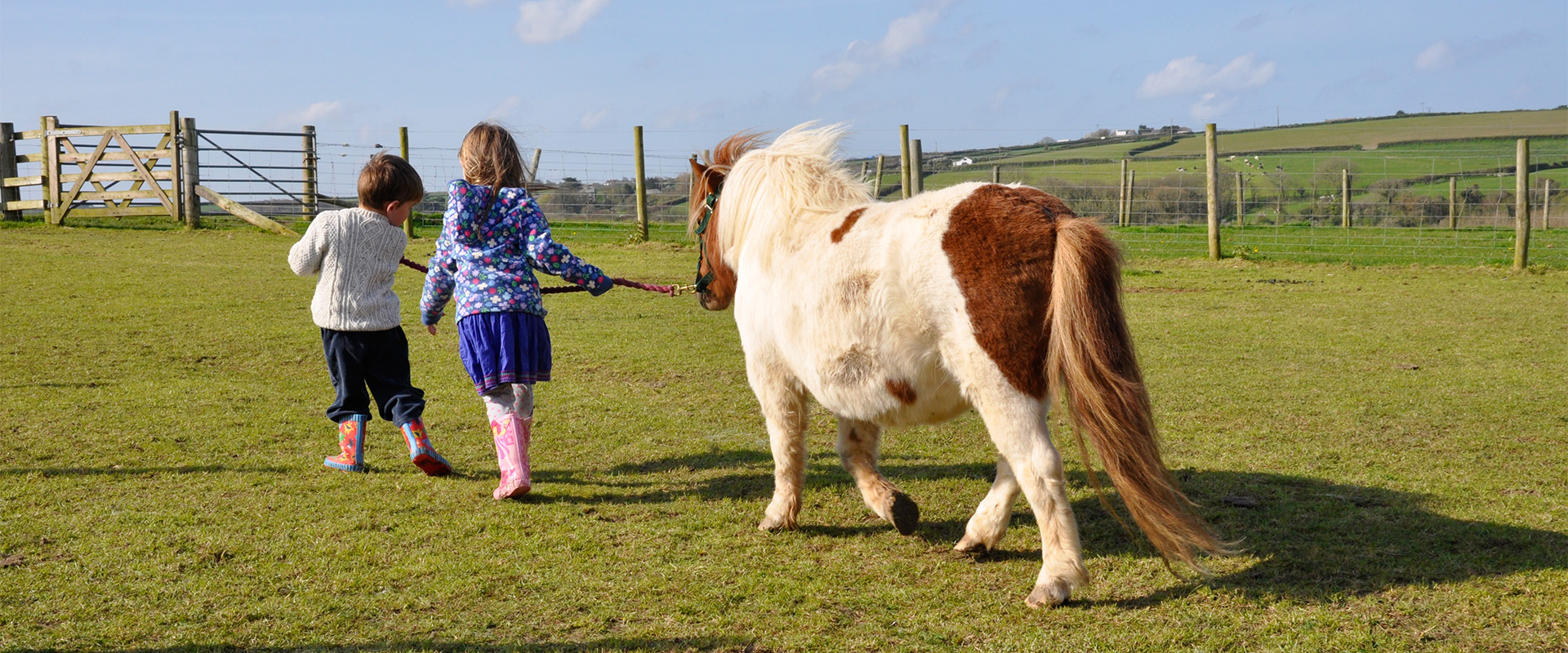 leading a miniature shetland pony