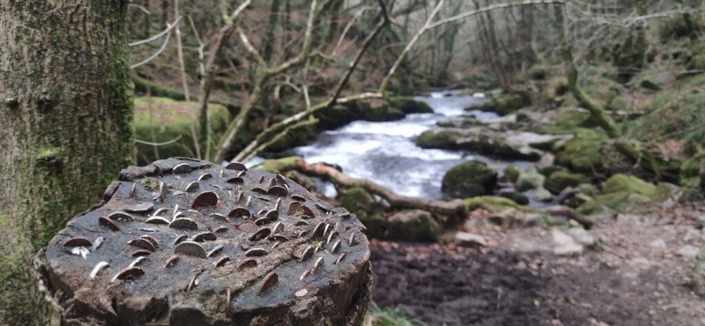 Golitha Falls, river Fowey